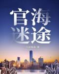 官海迷途