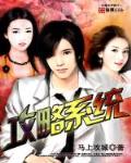 攻略系统